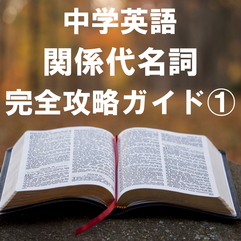 中学で習う関係代名詞を完全攻略その1 目的と作り方 中学英語文法 がこない独学応援ブログ