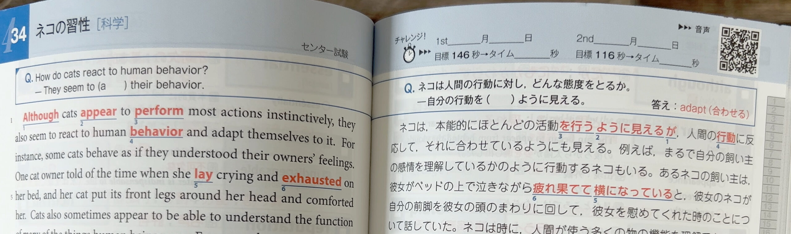 速読英単語必修編レビュー→上級編と繋げるメリットをプログラミングの 